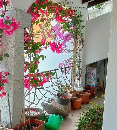 Alberto Apartamento Olbia