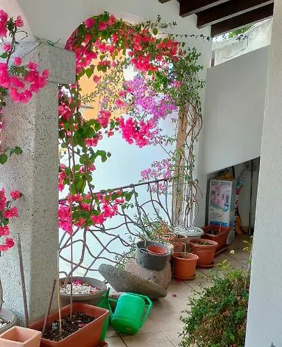 Alberto Appartement Olbia